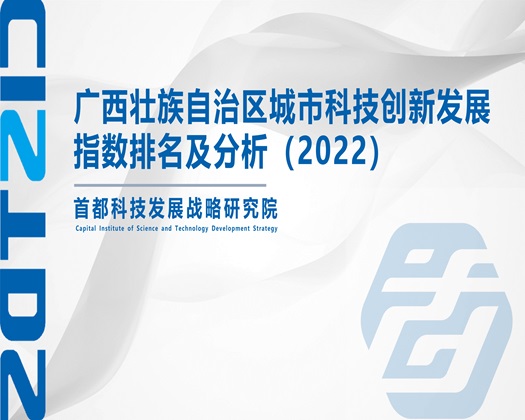 日屌操【成果发布】广西壮族自治区城市科技创新发展指数排名及分析（2022）